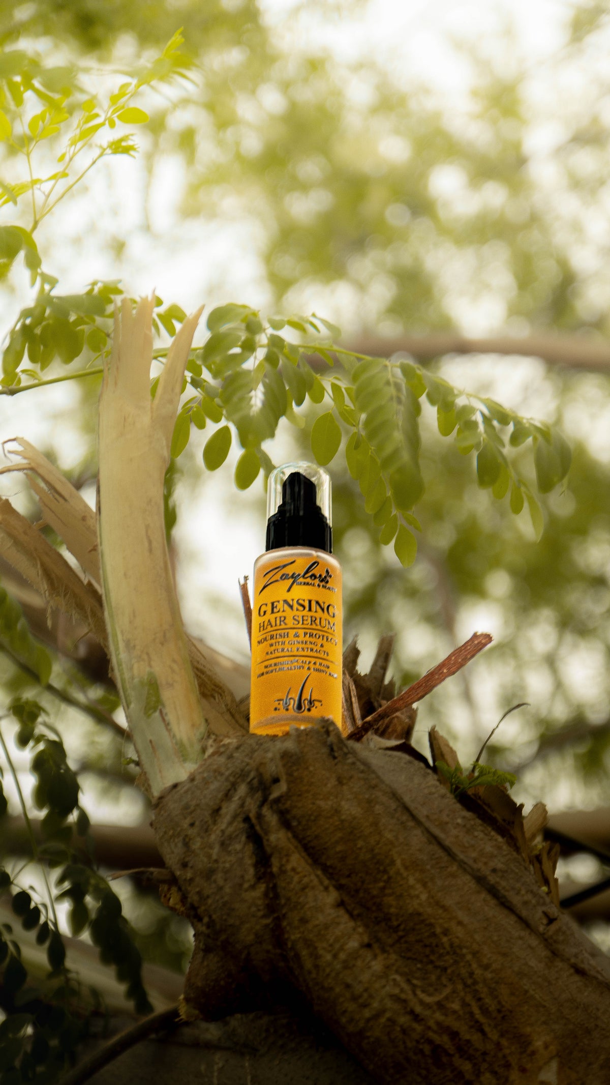 Zayloss Ginseng Hair Serum – Nourishing & Strengthening Hair Care