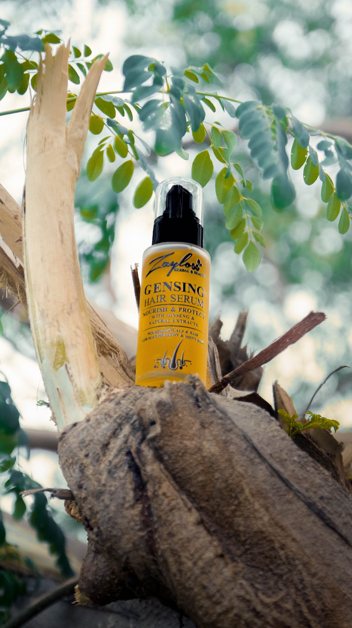 Zayloss Ginseng Hair Serum – Nourishing & Strengthening Hair Care